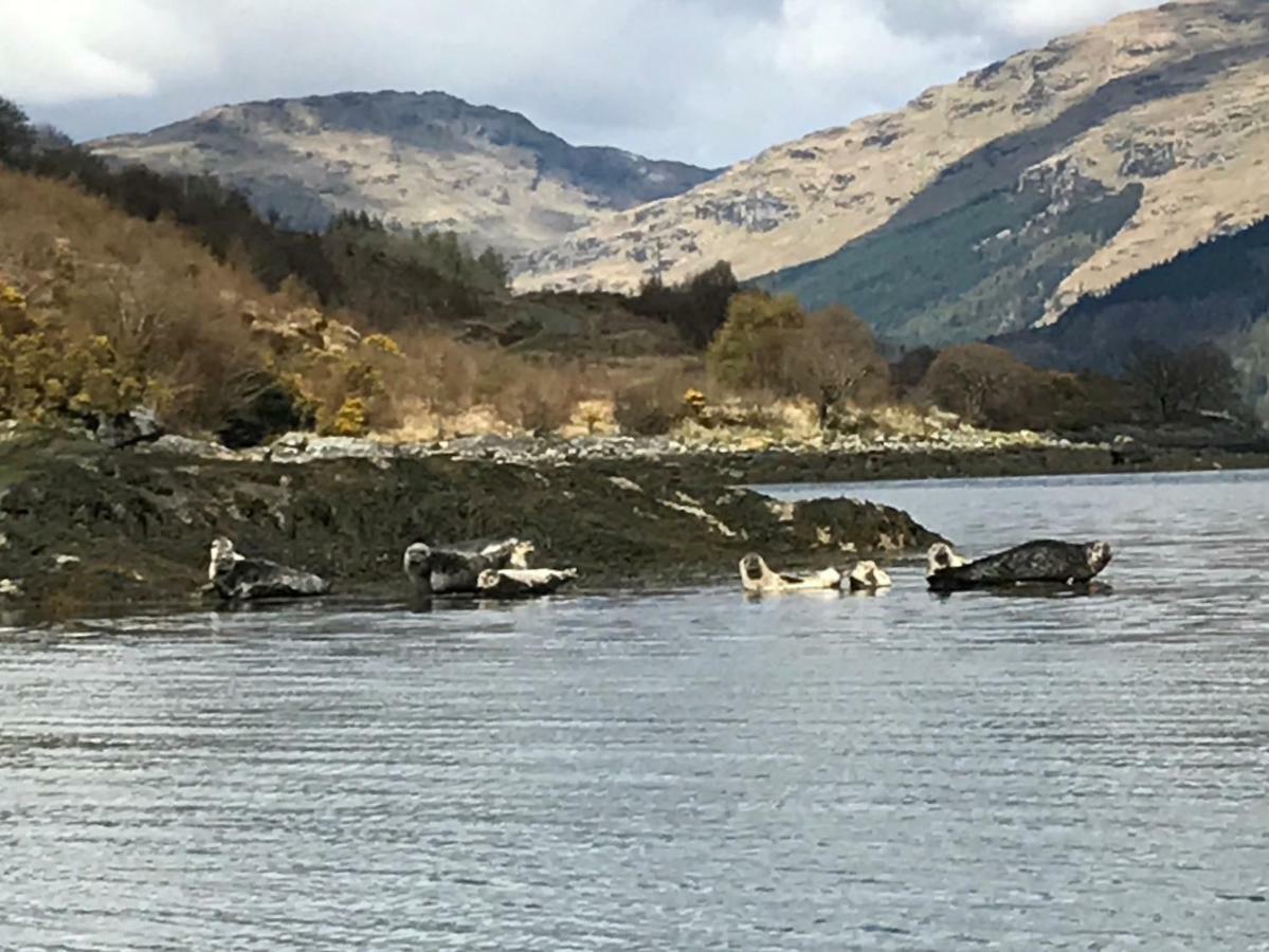 Hotel Carrick Farm Lochgoilhead Zewnętrze zdjęcie